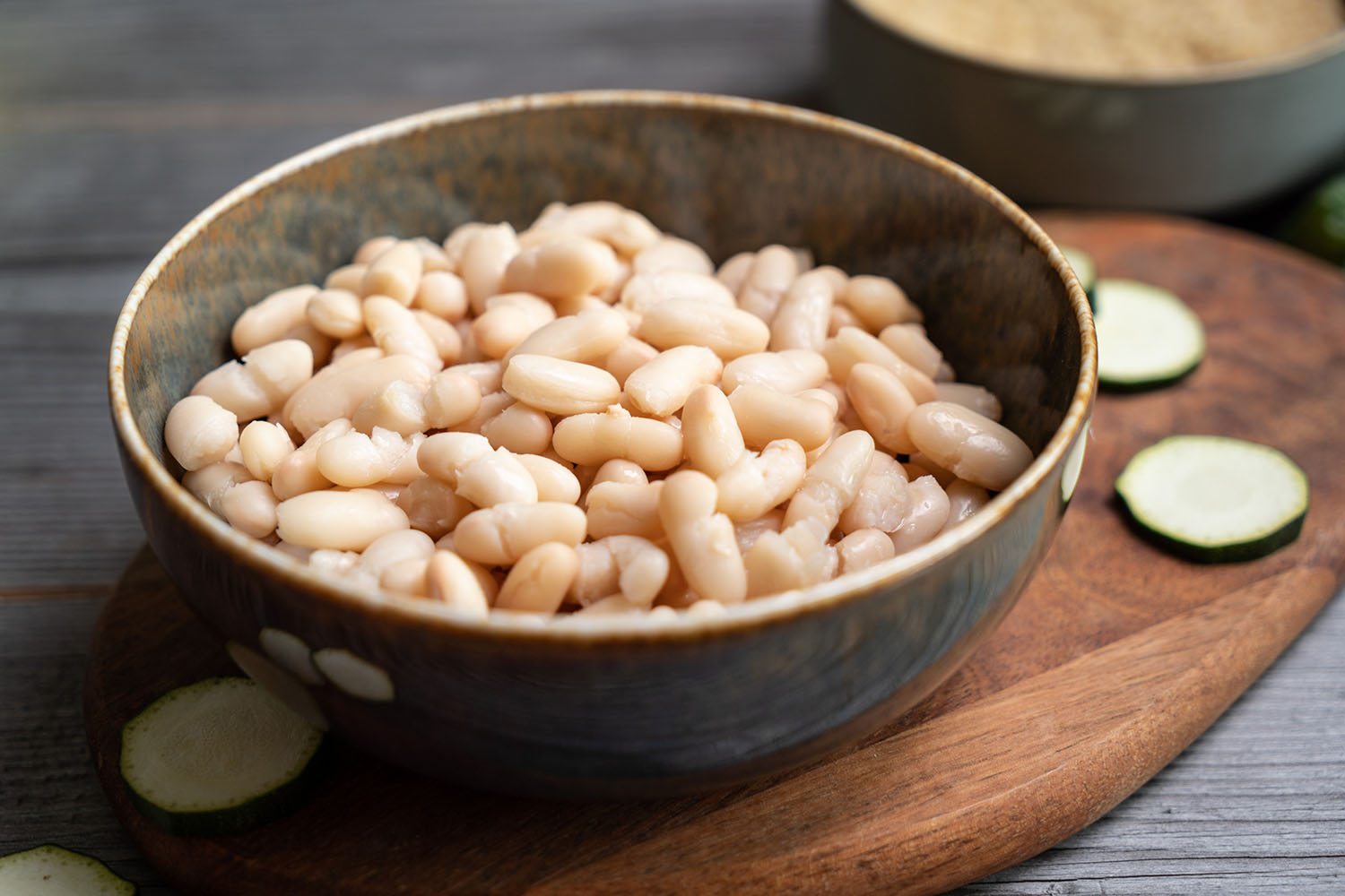 Legumes as a protein source in dog food ׀ Vegan4Dogs